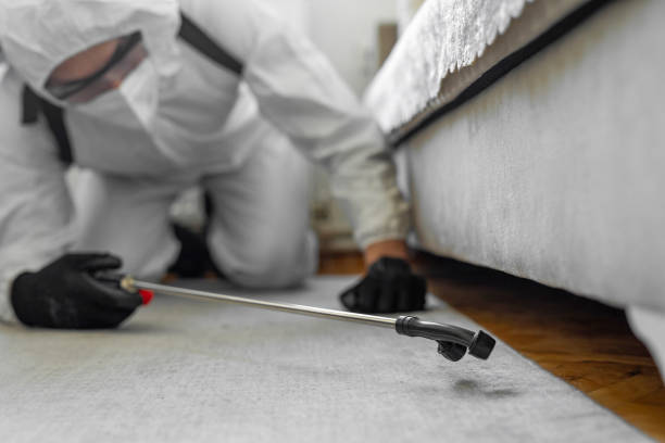 Professional Bed Bug Control technician working in Freeburg, IL