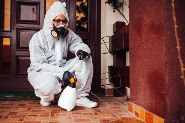 Reliable Bed Bug Control contractor in Freeburg, IL by Nex Pest Control