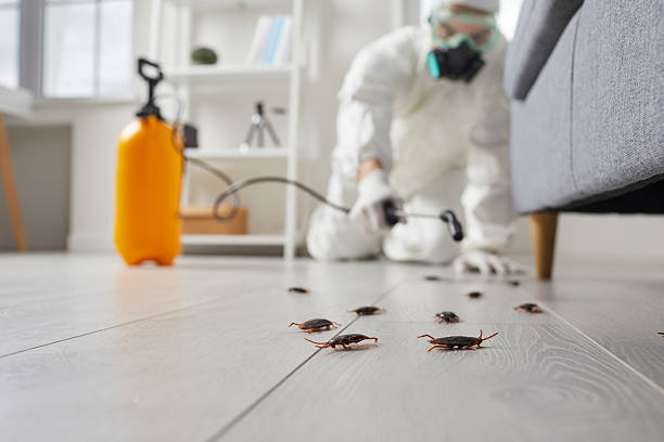 Trusted Termite Control service in Freeburg, IL - Nex Pest Control