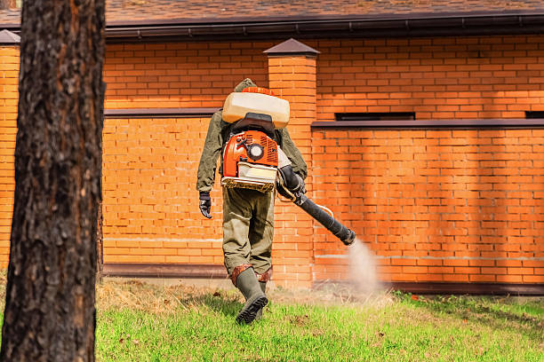 Trusted Ant Control service in Freeburg, IL - Nex Pest Control